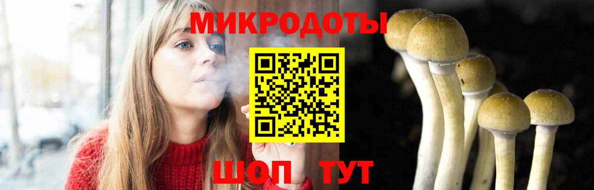 Майкоп  Галлюциногенные грибы мухоморы  Псилоцибиновые грибы мицелий  Вход с VPN 